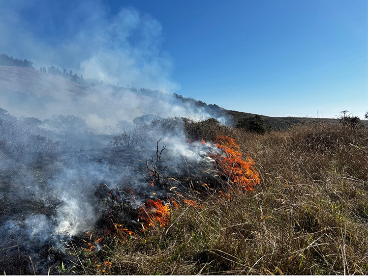 Prescribed burn at Fort Ross State Historic Park in October 2025. Photo from California State Parks